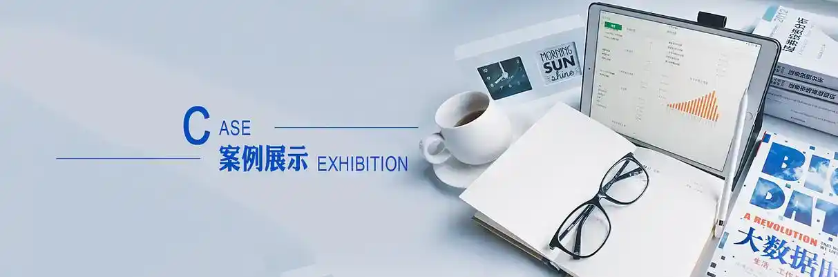 西藏软件开发